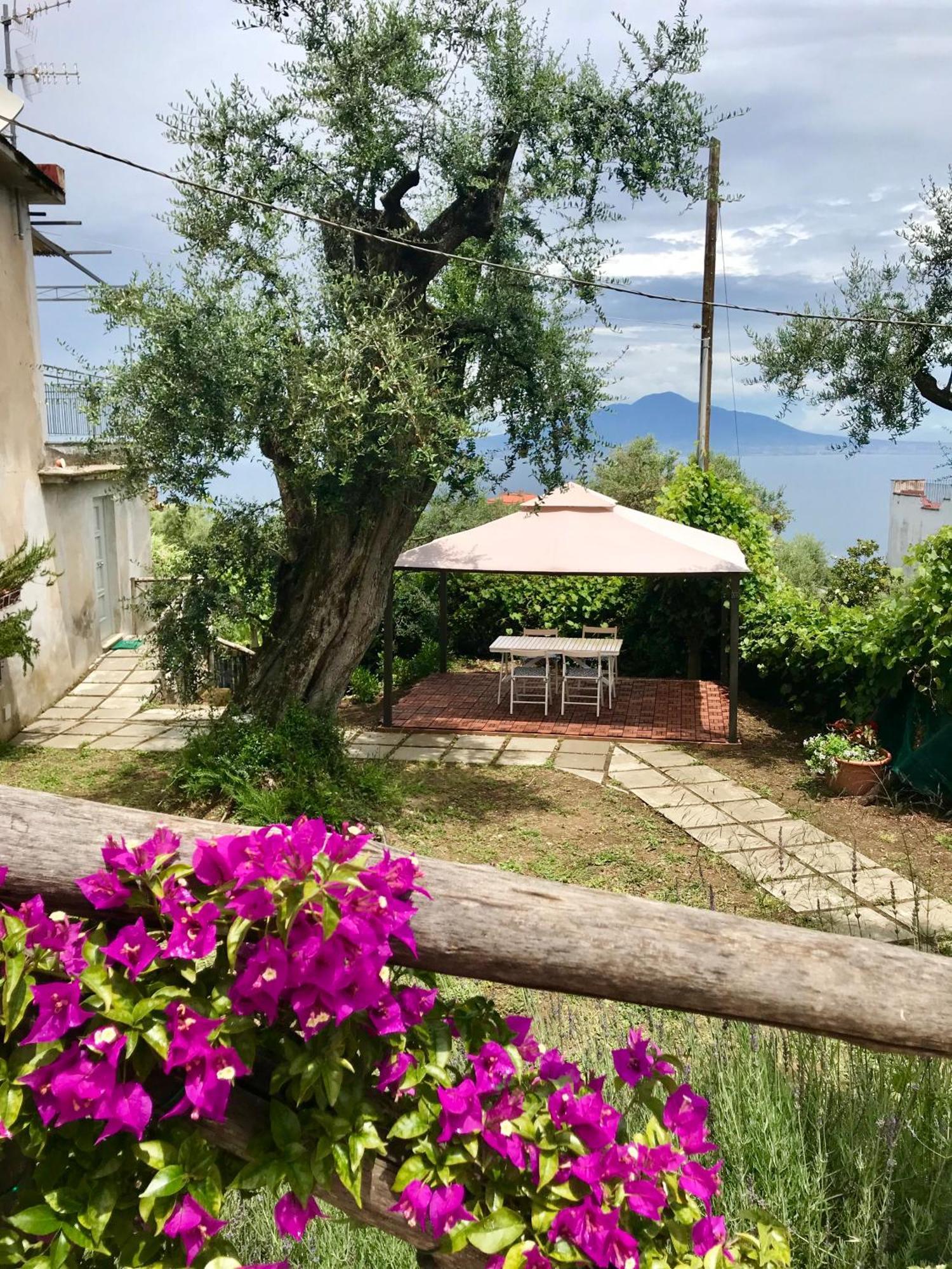 Sorrento Garden Hotel Exterior foto